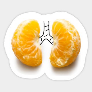 Best 5 Foods To Naturally Cleanse Your Lungs