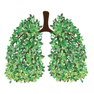 10 Ways You Can Purify Your Lungs Naturally