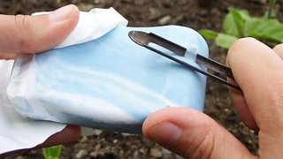 お庭に石鹸を置きましょう - こんなことが起こります!