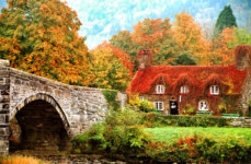Before And After: The Beauty Of Fall Around The World