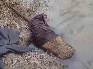 A Man Thought He Saw A Distressed Beaver In The Mud But What It Actually Was Would Change His Life Forever