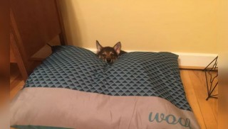This Couple Took Their New Puppy Back To The Shelter With An Unusual Request
