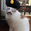 These Pets With Snapchat Filters Will Brighten Your Day