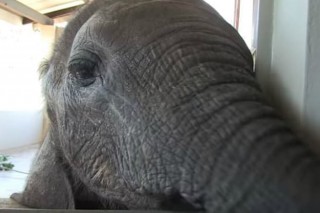 The Unlikely Friendship that Will Melt Your Heart 