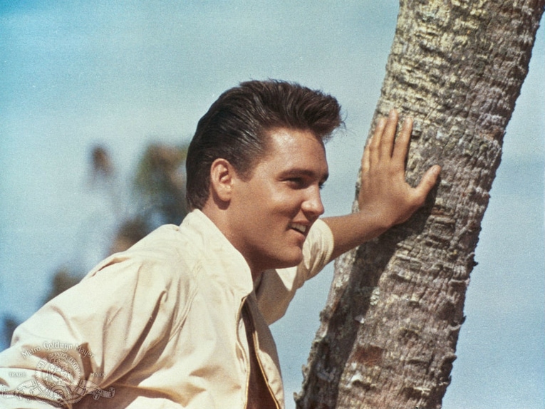 elvis-presley-tree