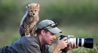 The Most Amazing Dream Jobs For Animal Lovers