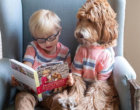 The Cutest Service Dogs On The Planet