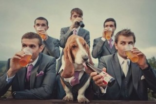 These Couples Included Their Pets On Their Wedding Day and the Results Are Adorable